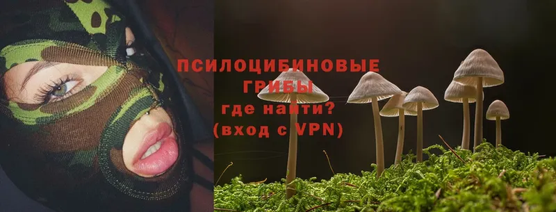 Псилоцибиновые грибы Psilocybine cubensis  купить закладку  Санкт-Петербург 